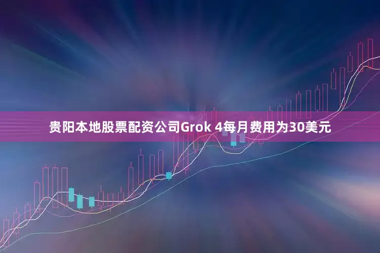 贵阳本地股票配资公司Grok 4每月费用为30美元