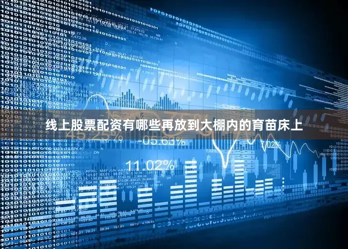 线上股票配资有哪些再放到大棚内的育苗床上