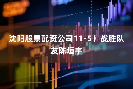 沈阳股票配资公司11-5）战胜队友陈垣宇